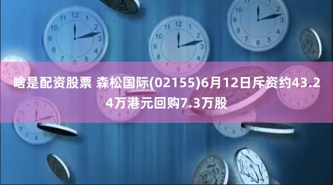 啥是配资股票 森松国际(02155)6月12日斥资约43.24万港元回购7.3万股