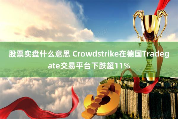 股票实盘什么意思 Crowdstrike在德国Tradegate交易平台下跌超11%