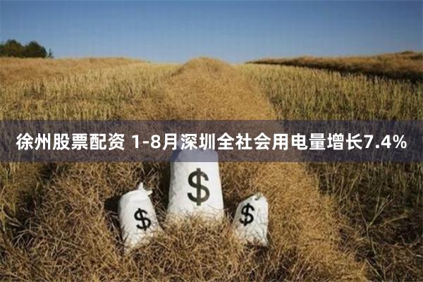 徐州股票配资 1-8月深圳全社会用电量增长7.4%